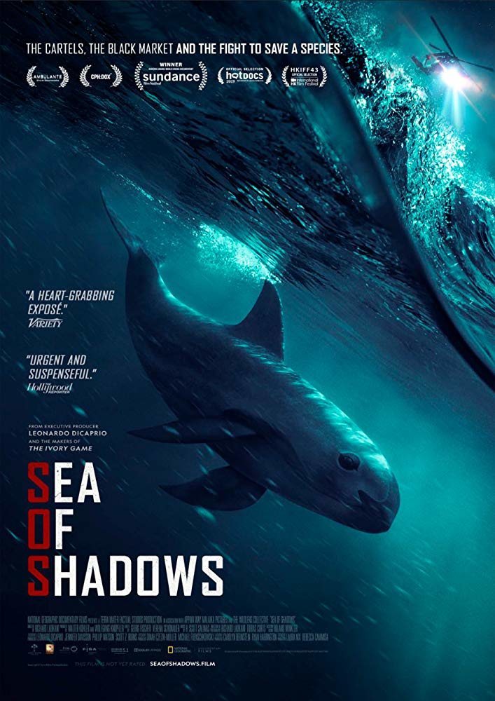 Cartel de SOS: Mar de sombras - Póster