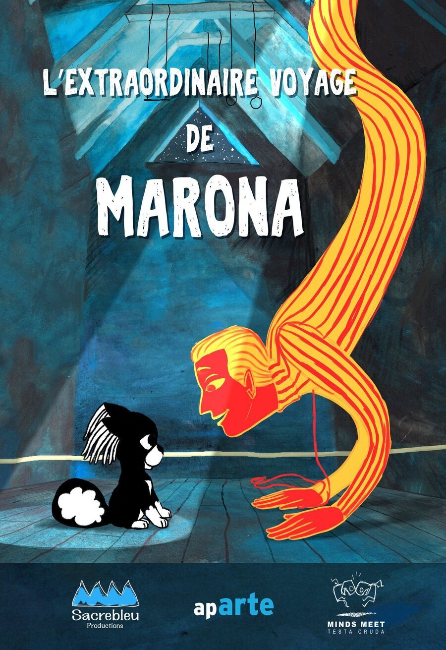 Cartel de L'extraordinaire voyage de Marona - Francia #2
