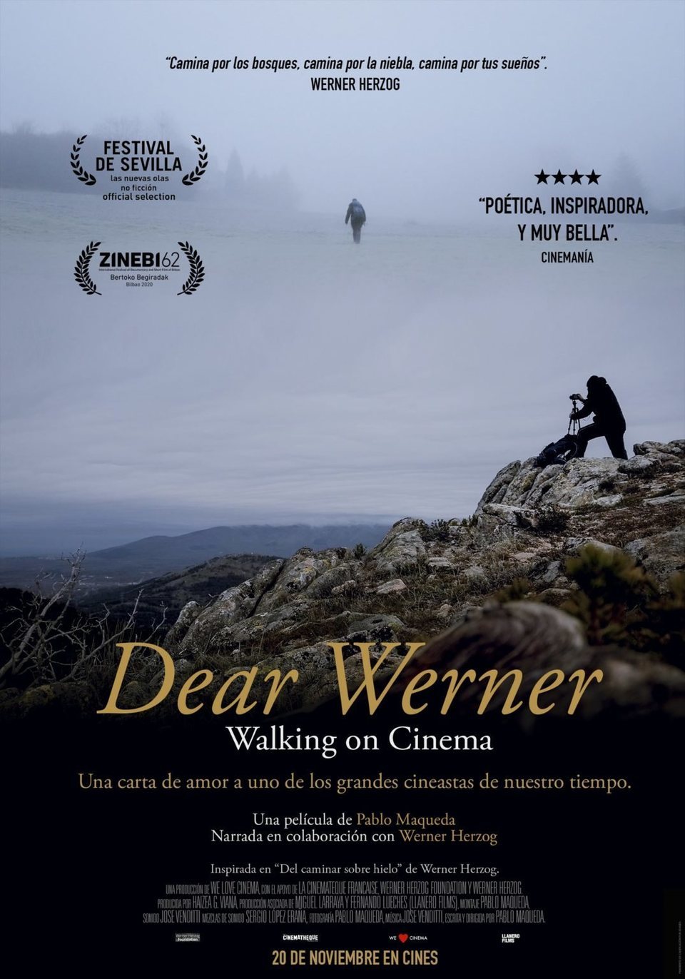 Cartel de Dear Werner - España