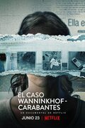 Cartel de El caso Wanninkhof