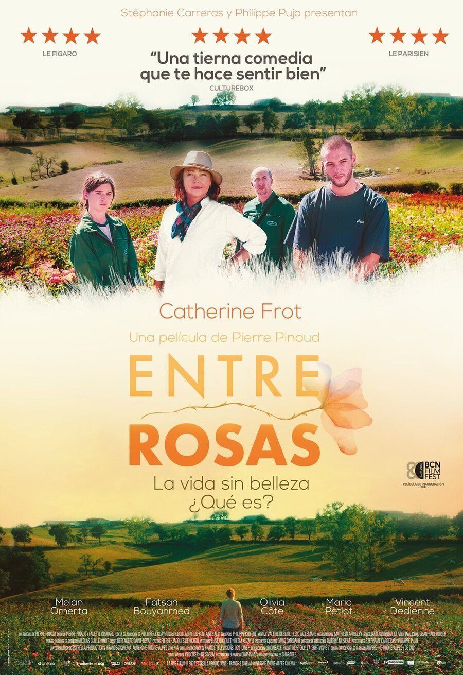 Cartel de La fine fleur - España