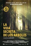 Cartel de Das geheime Leben der Bäume