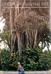 Under The Banyan Tree