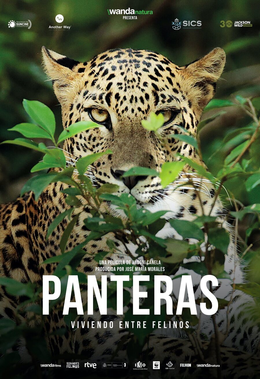 Cartel de Panteras - España