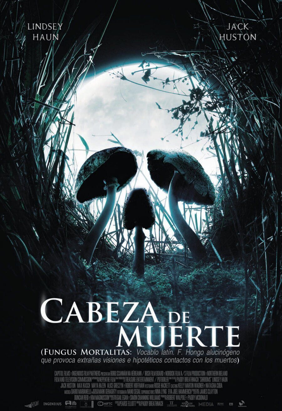 Cartel de Cabeza de muerte - España