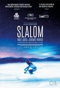 Cartel de Slalom