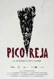 Pico Reja