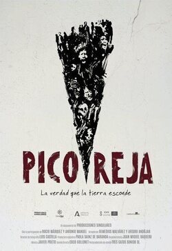 Cartel de Pico Reja