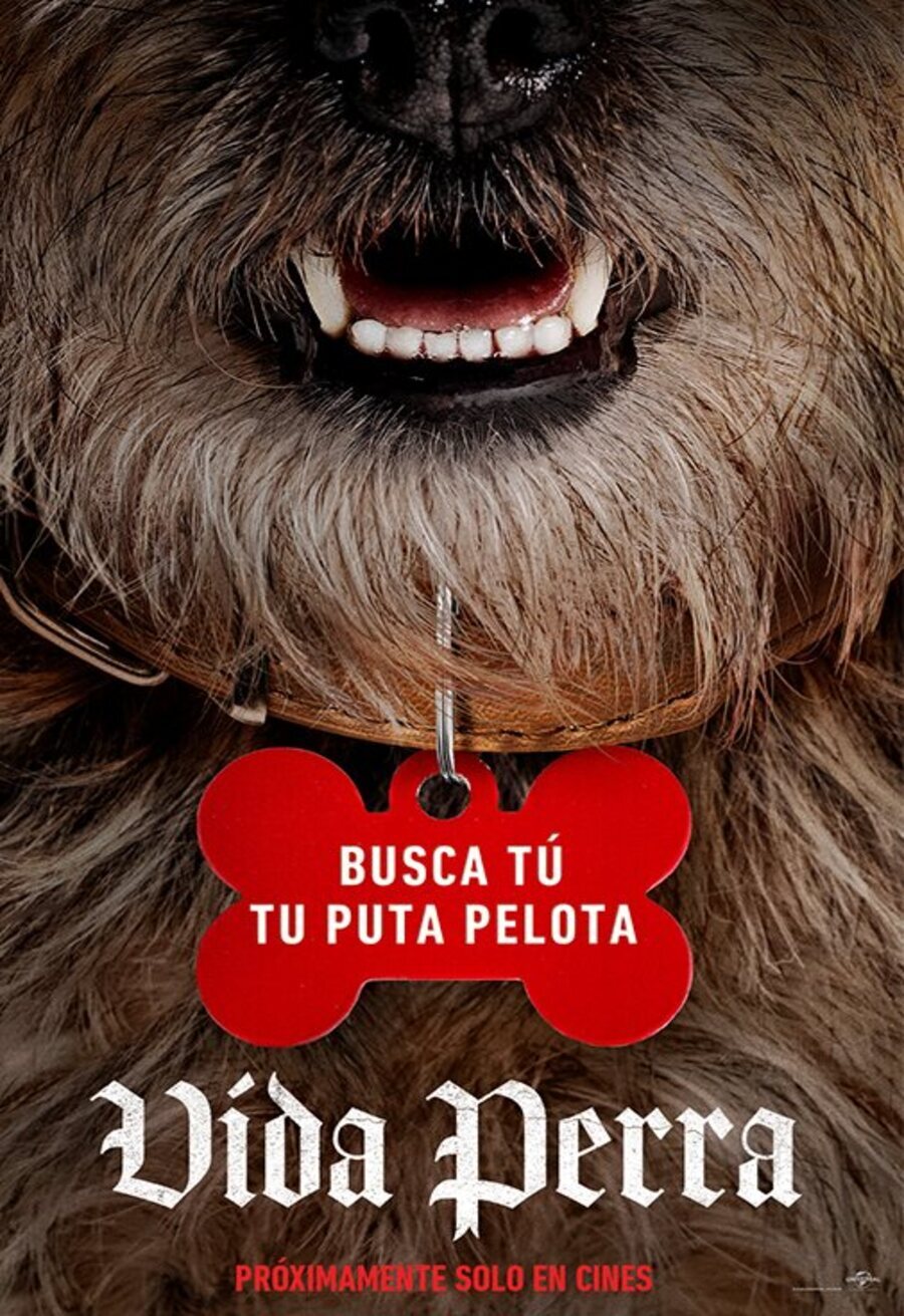 Cartel de Hijos De Perra - Cartel español