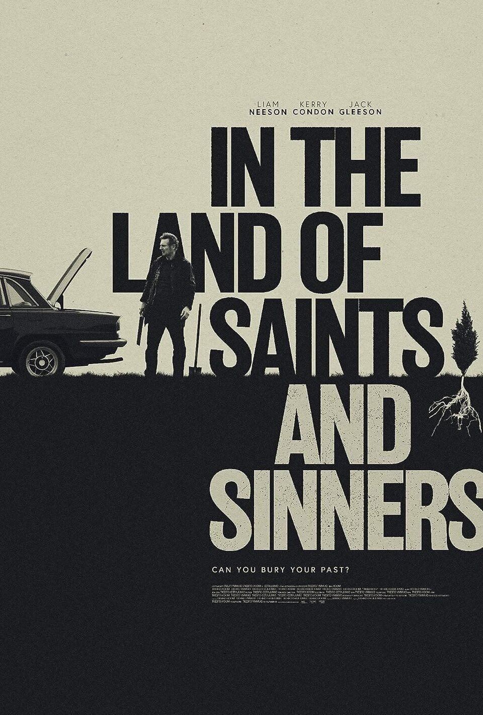 Cartel de In the Land of Saints and Sinners - In the land of saints and sinners