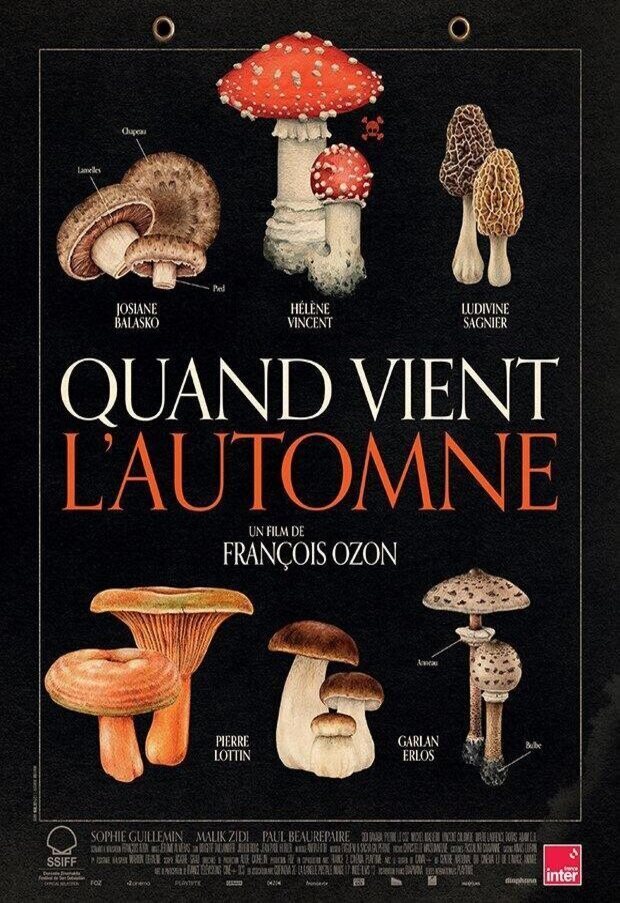 Cartel de Cuando cae el otoño - 