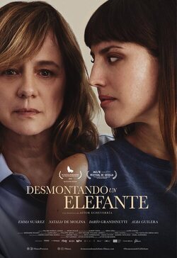 Desmontando un elefante