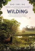 Cartel de Wilding