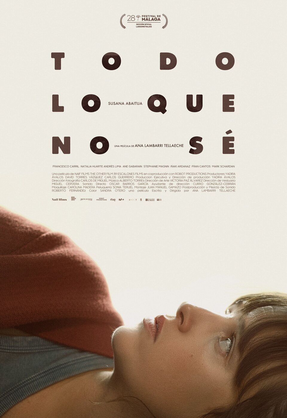 Cartel de Todo lo que no sé - Póster