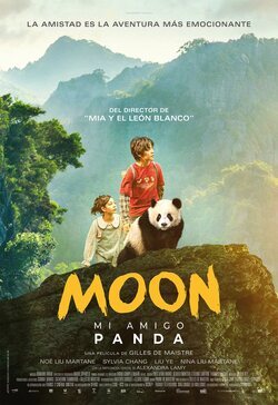 Cartel de Moon le panda