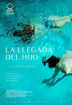 Cartel 'La llegada del hijo'
