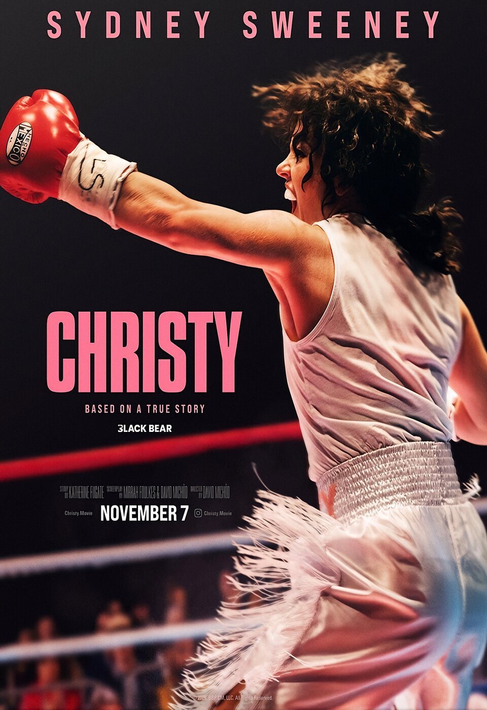 Cartel de Christy - Estados Unidos