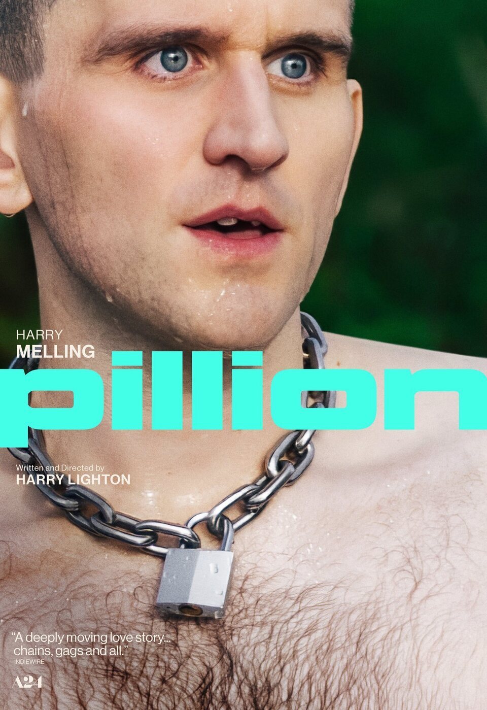 Cartel de Pillion - Cartel #2