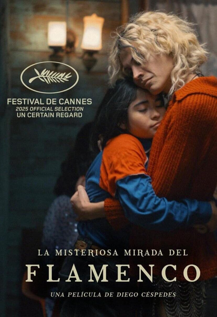 Cartel de La misteriosa mirada del flamenco - Cartel original