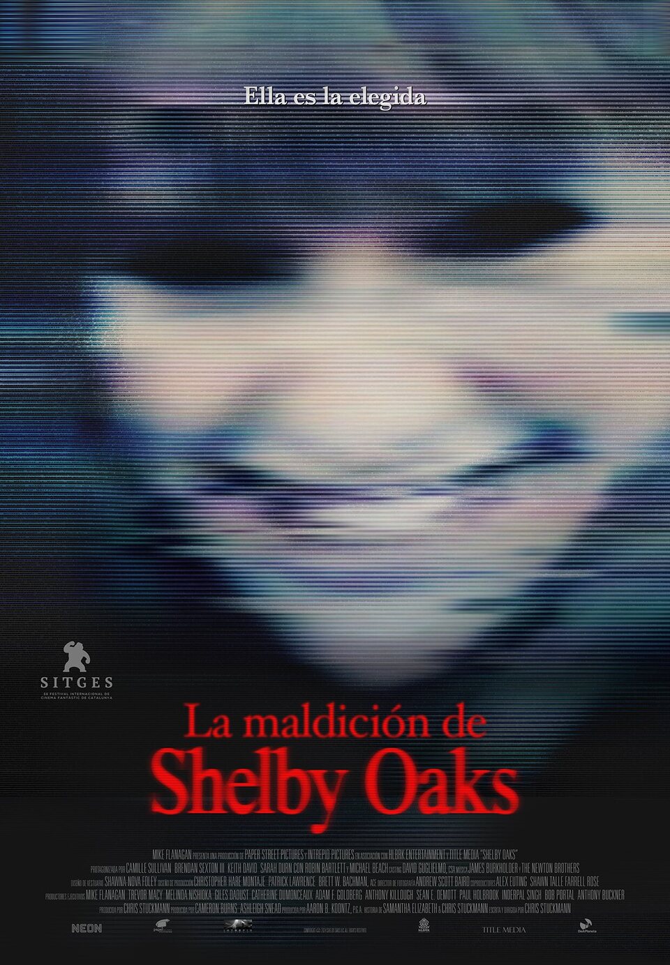 Cartel de Terror en Shelby Oaks - 1