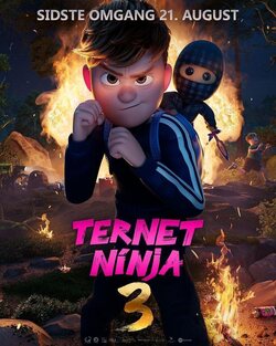 Cartel de Ternet Ninja 3