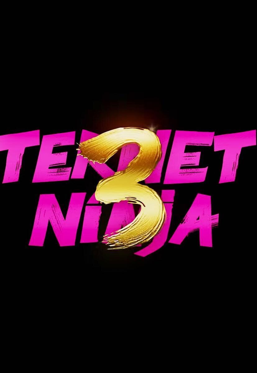 Cartel de Ternet Ninja 3 - Ternet Ninja 3