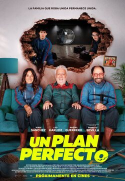 Cartel de Un plan perfecto