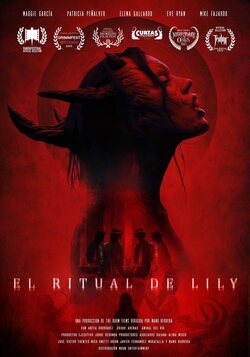 Cartel de El ritual de Lily