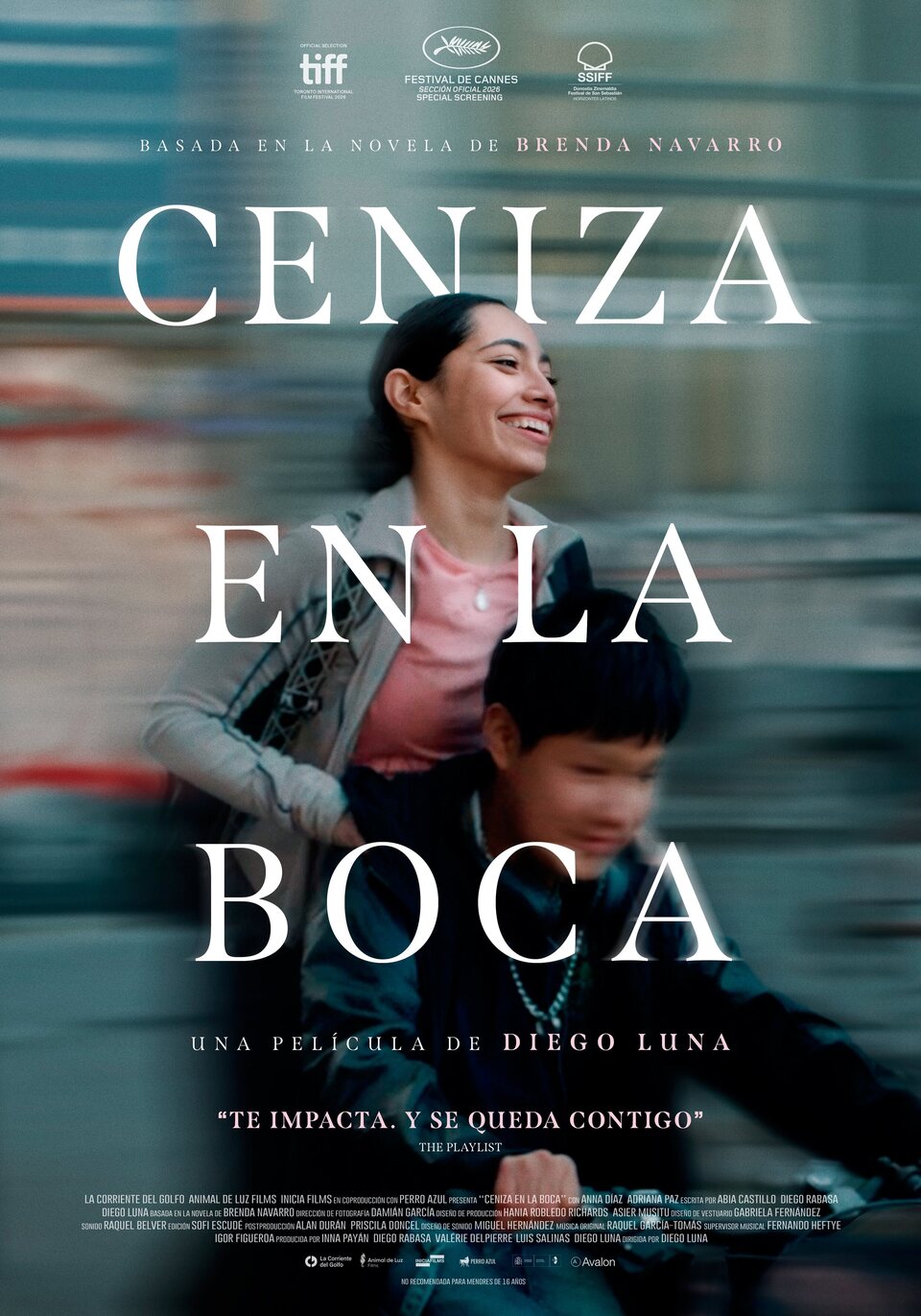 Cartel de Ceniza en la Boca - España