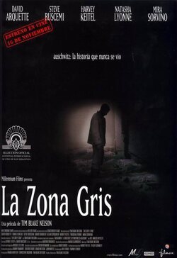 Cartel de La zona gris