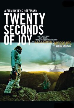 Cartel de 20 Seconds of Joy