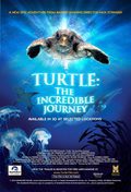 Cartel de El viaje de la tortuga