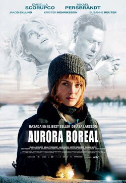 Cartel de Aurora boreal