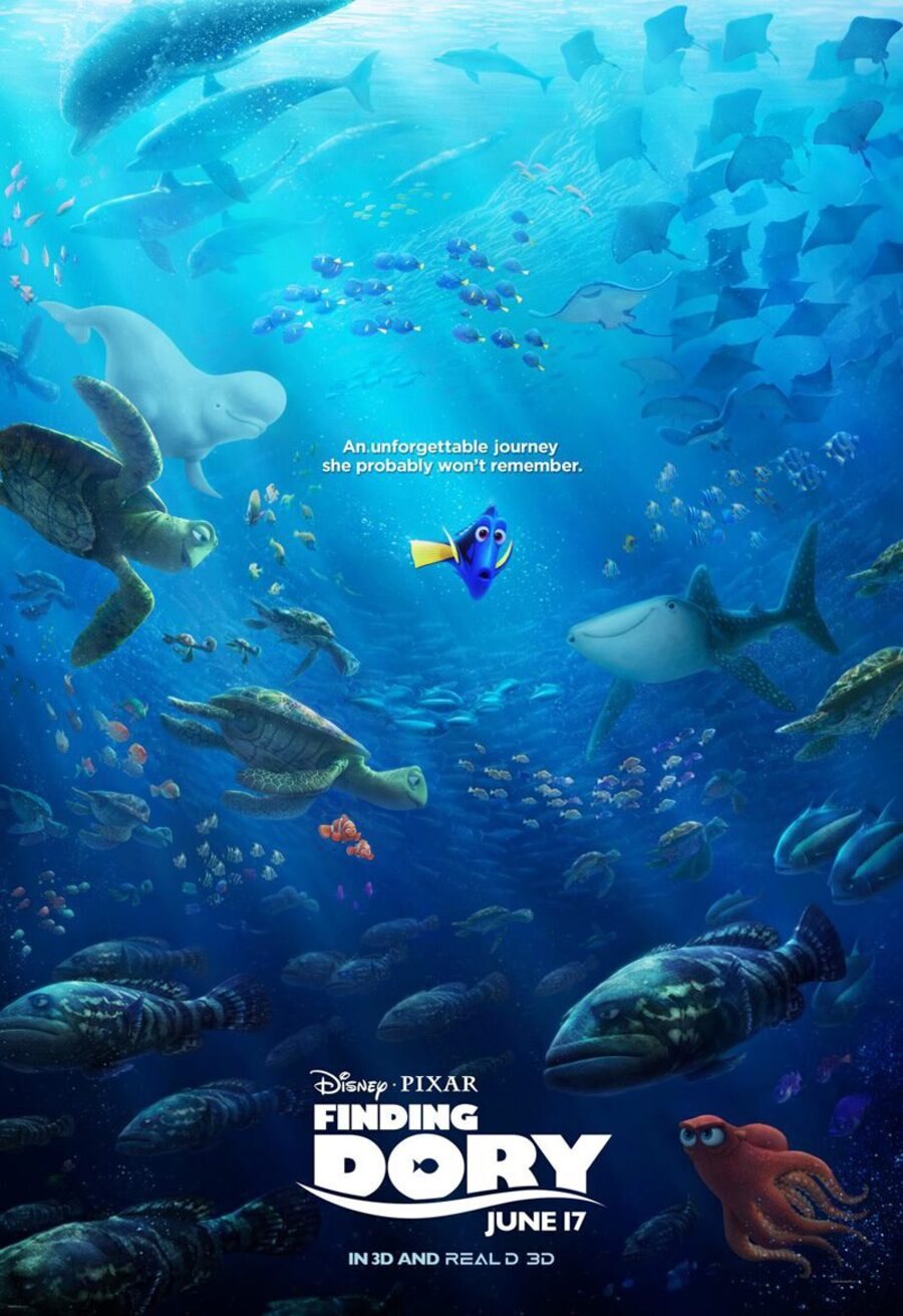 Cartel de Buscando a Dory - Estados Unidos #7