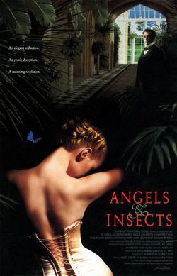 Cartel de Ángeles & insectos