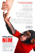 Cartel de Proyecto Nim