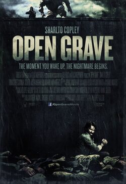 Cartel de Open Grave