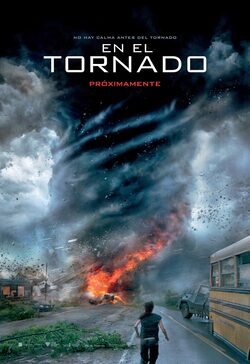 Cartel de En el tornado