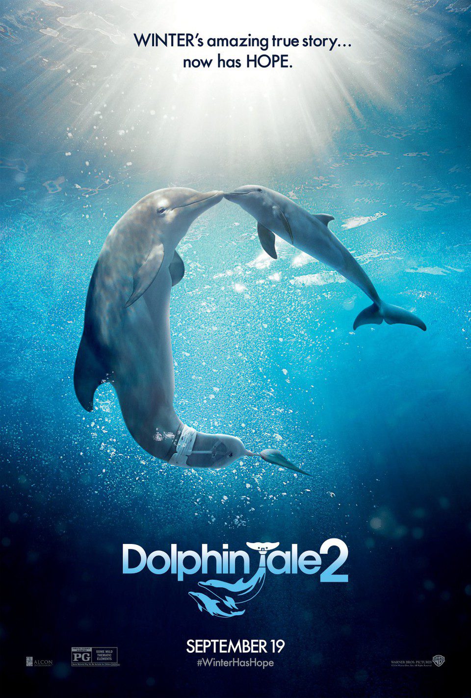 Cartel de Winter el delfín 2 - EEUU
