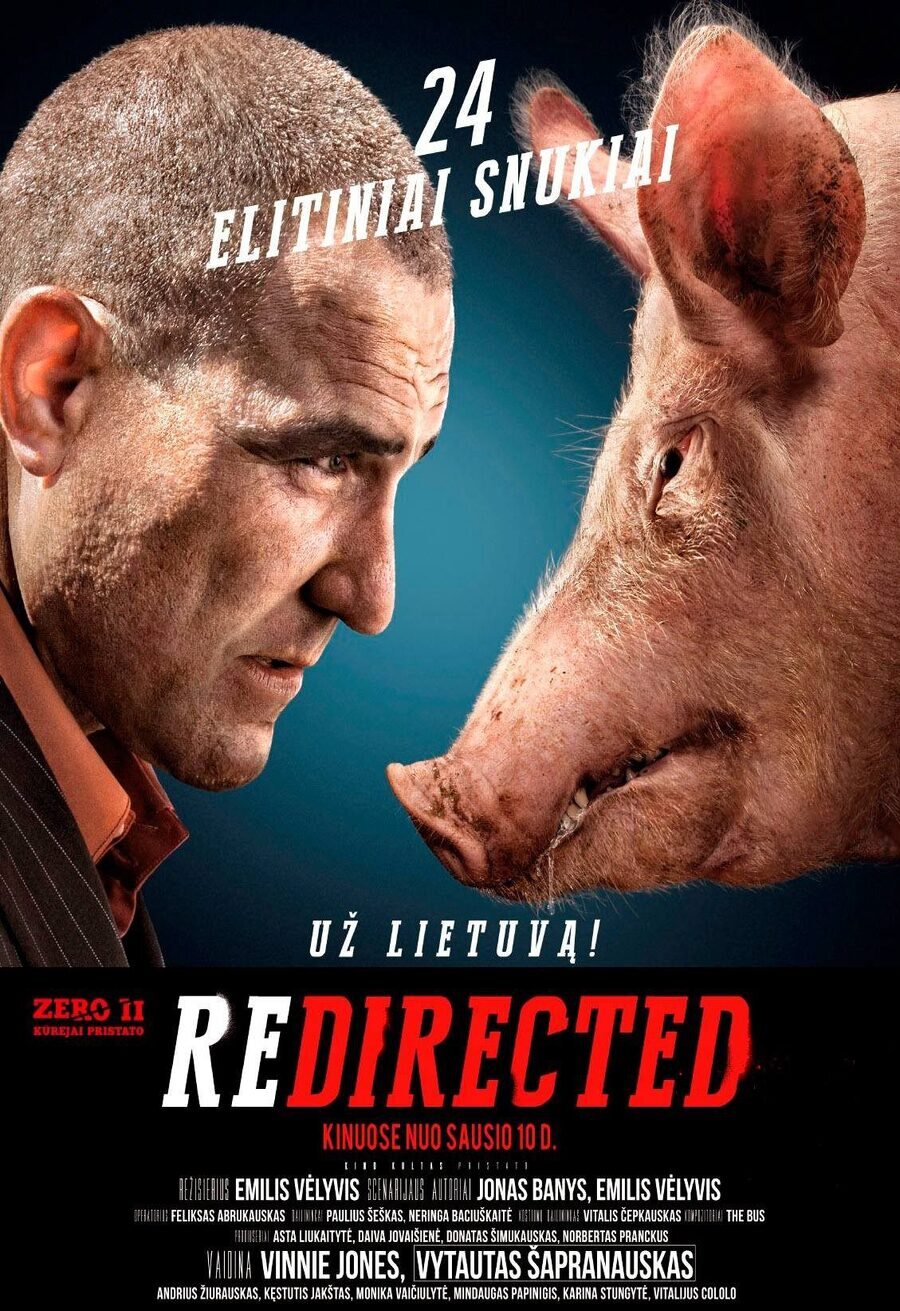 Cartel de Redirected - Lituania