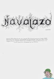 Navajazo