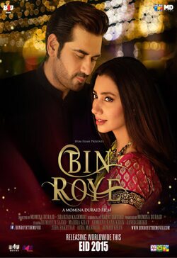 Cartel de Bin Roye