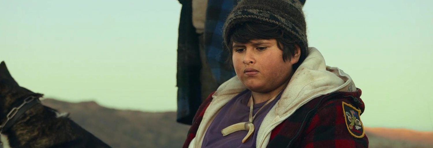 Hunt for the Wilderpeople