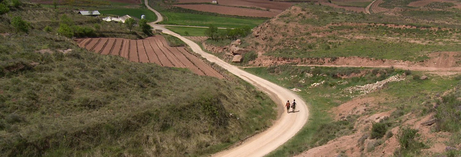 ¡Buen camino! Seis peregrinos, un destino