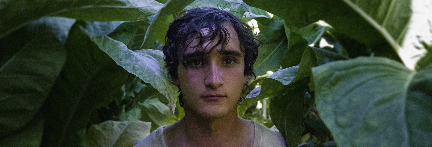 Lazzaro Felice