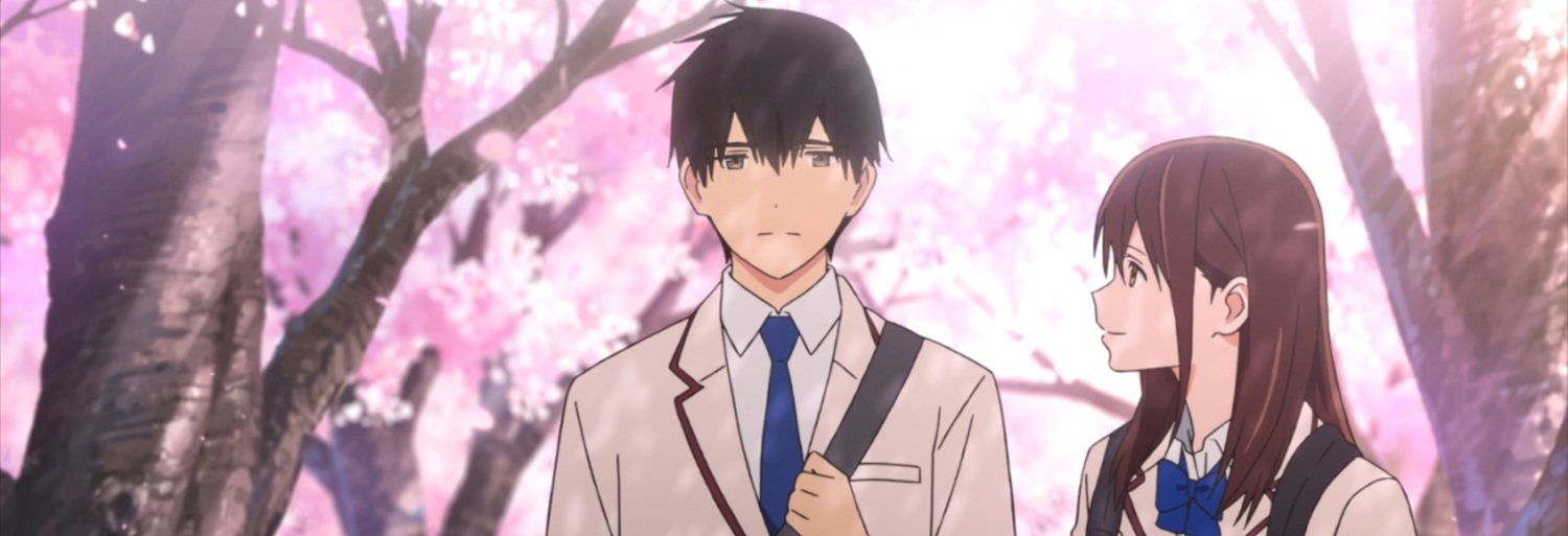 I Want To Eat Your Pancreas, la película