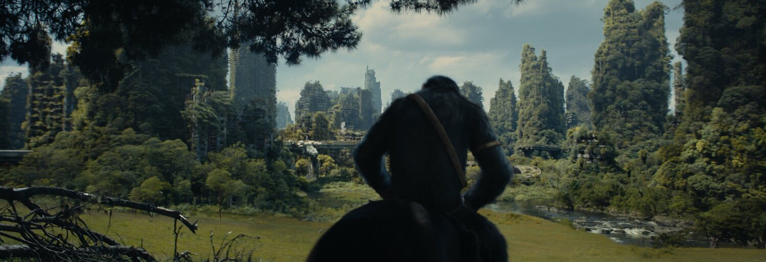 El planeta de los simios: Nuevo reino