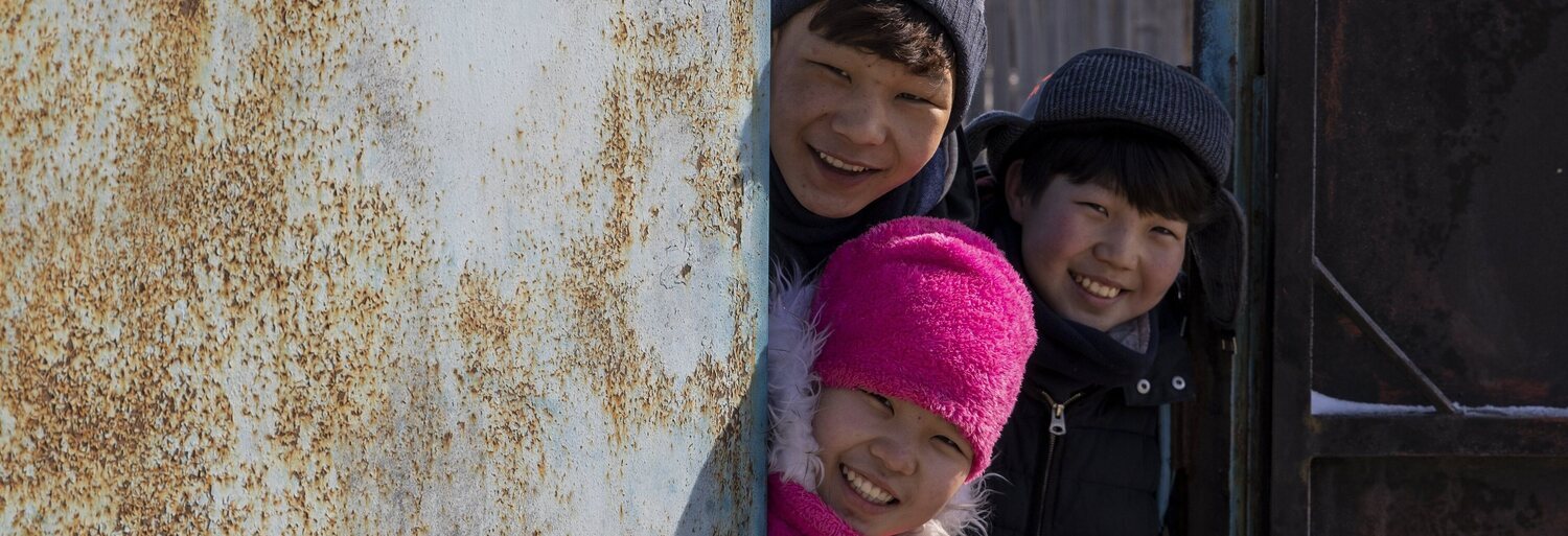 If Only I Could Hibernate