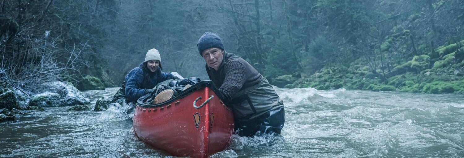 Un ours dans le Jura