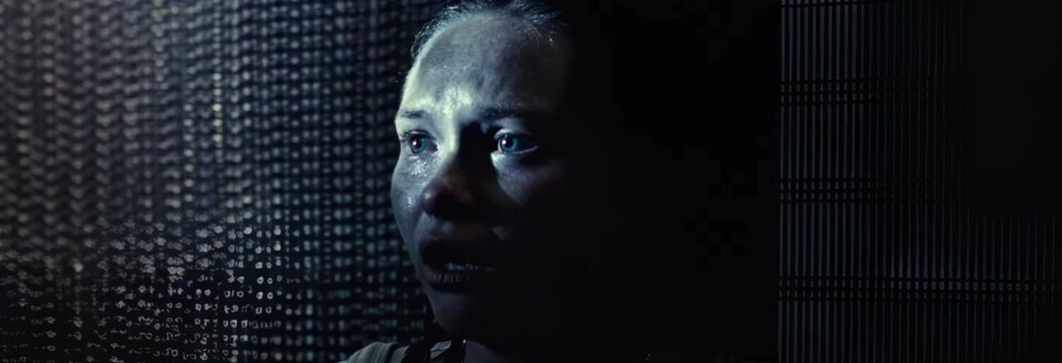 No Alimentes a los niños